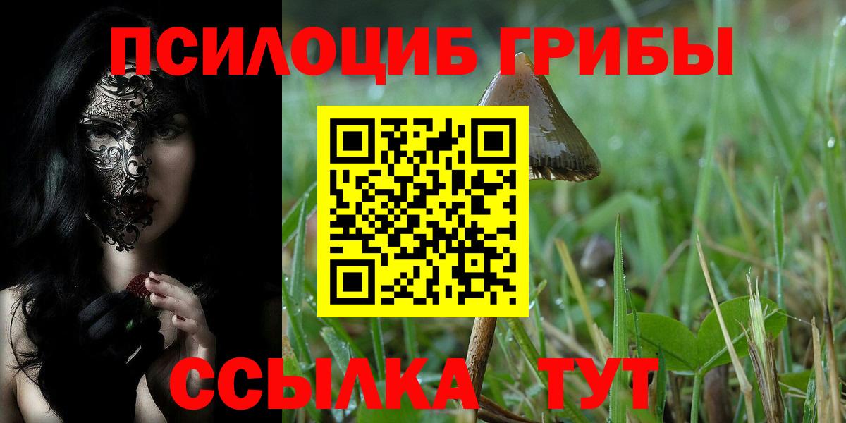 Псилоцибиновые грибы Psilocybe Гагарин