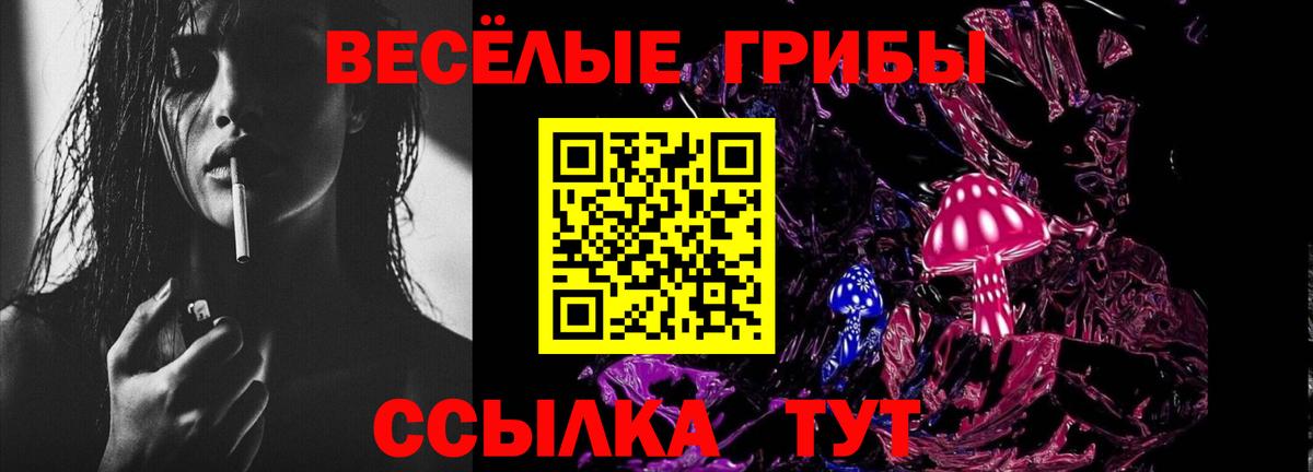 Гагарин  Галлюциногенные грибы Psilocybine cubensis  Вход с VPN  Галлюциногенные грибы Psilocybine cubensis 